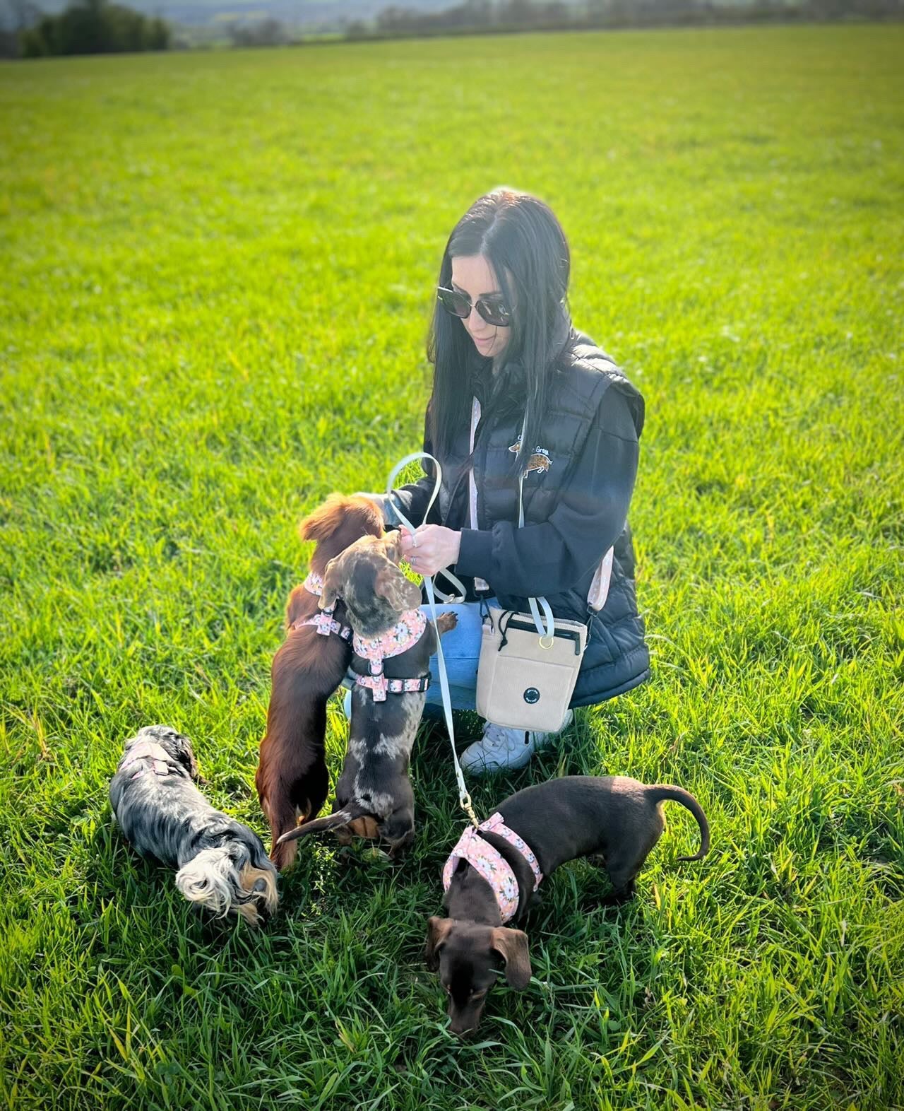 Olive n Grey Dog Walking Bag