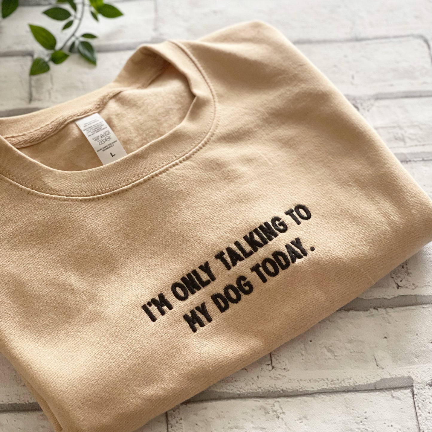 I'm Only Talking To My Dog Today, Sweatshirt