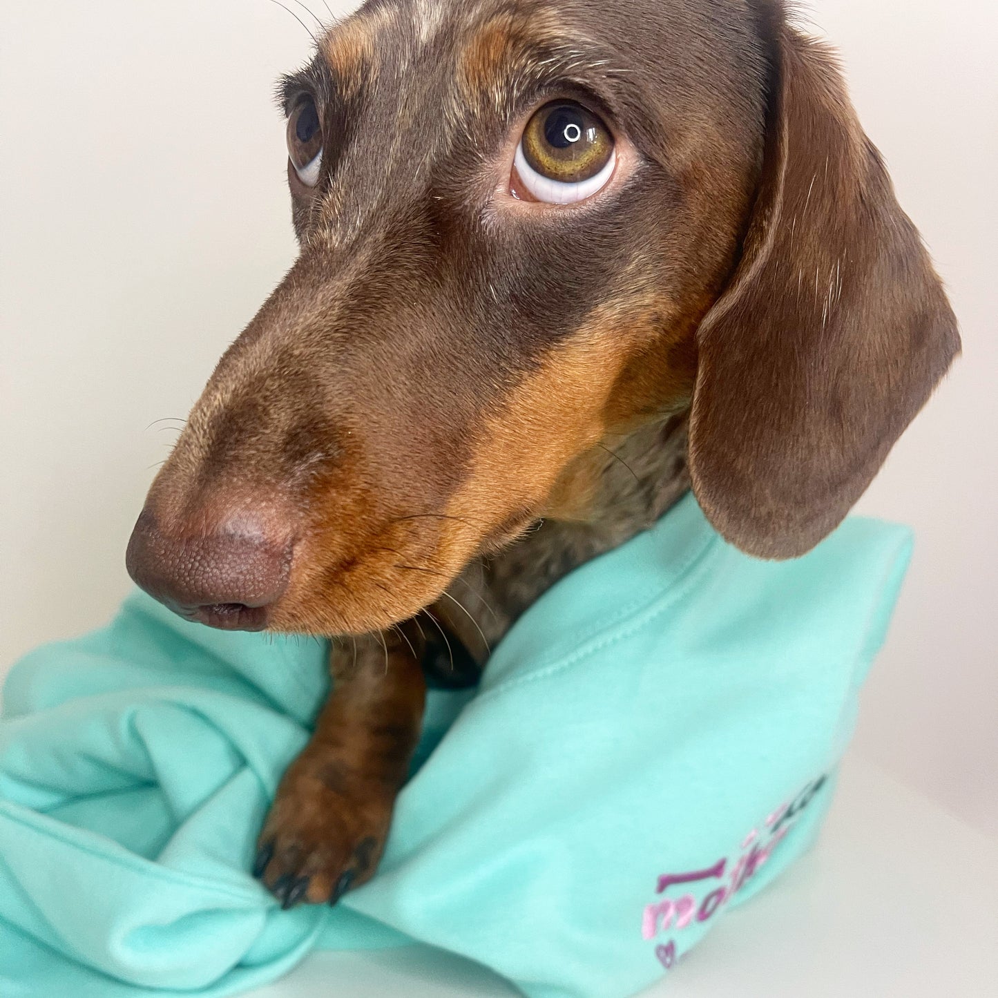 Embroidered Dog Mother Wine Lover Sweatshirt