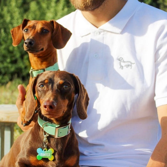 Olive n Grey Polo Shirt