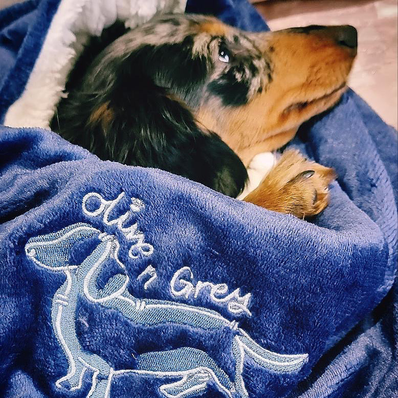 Olive n Grey Snuggly