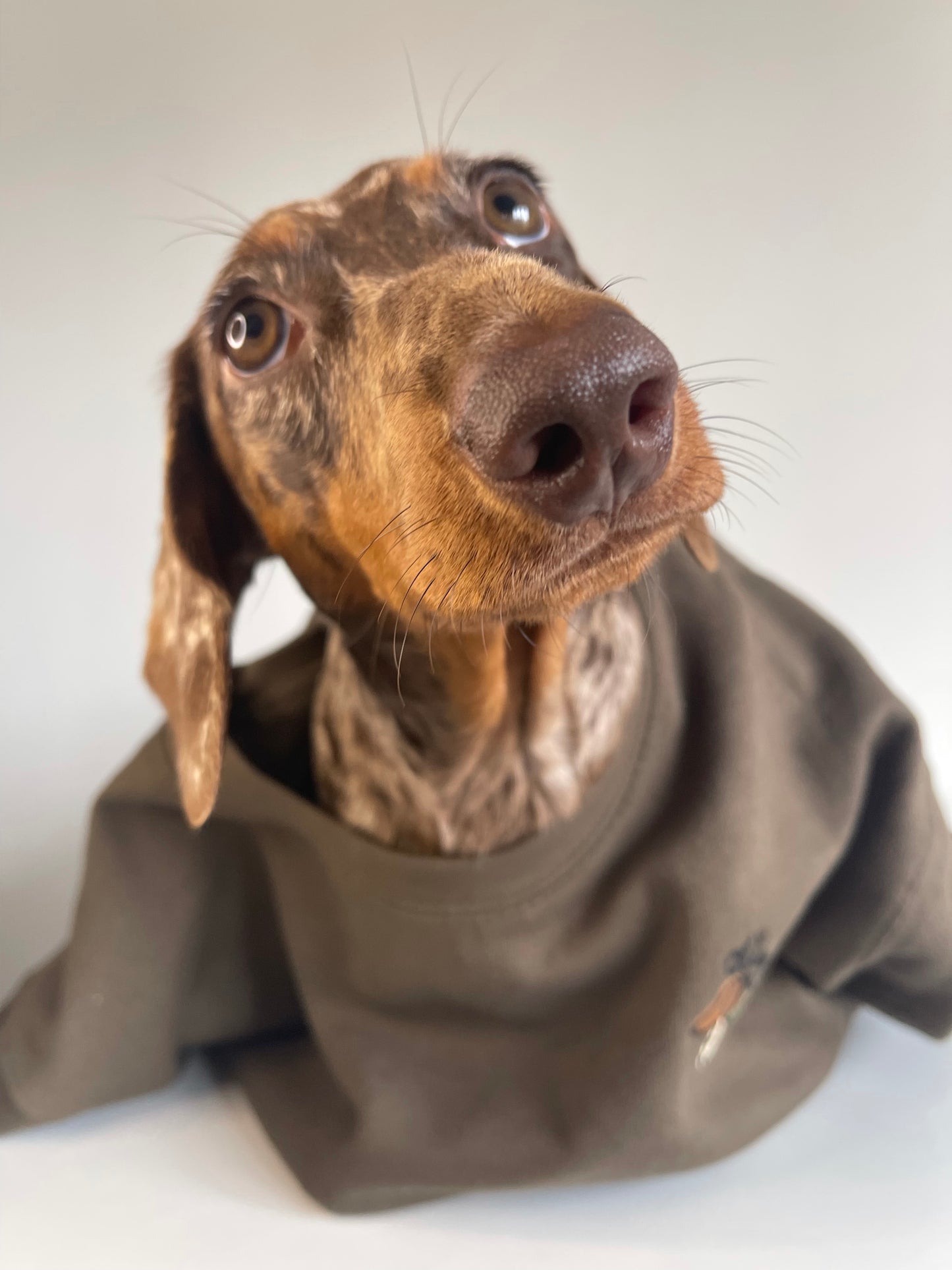 Embroidered Autumn Olive n Grey Sweatshirt