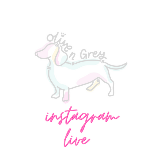 Instagram Live - Sweatshirt