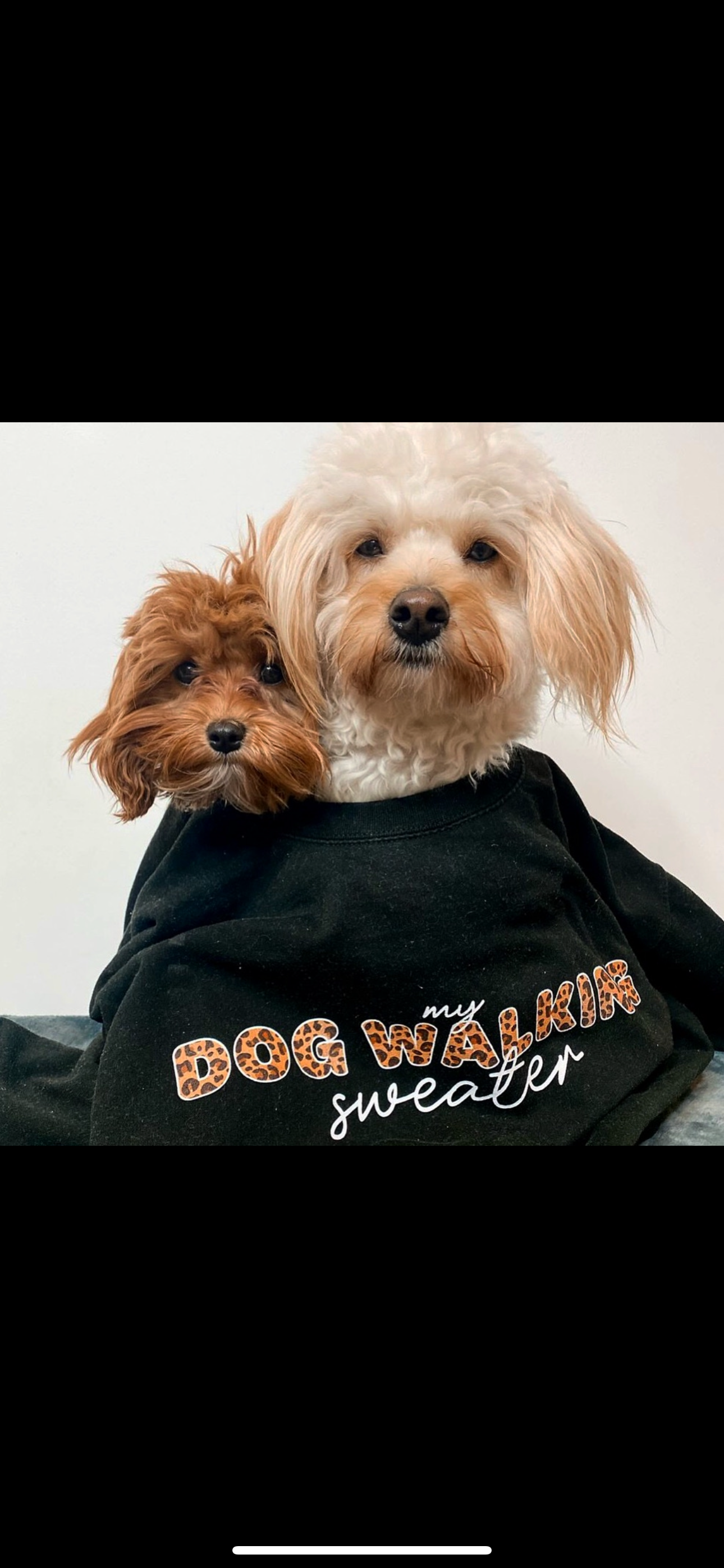 *Best Selling* My Dog Walking Sweater