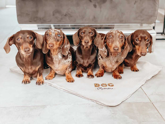 Dog Momma Fleece Blanket