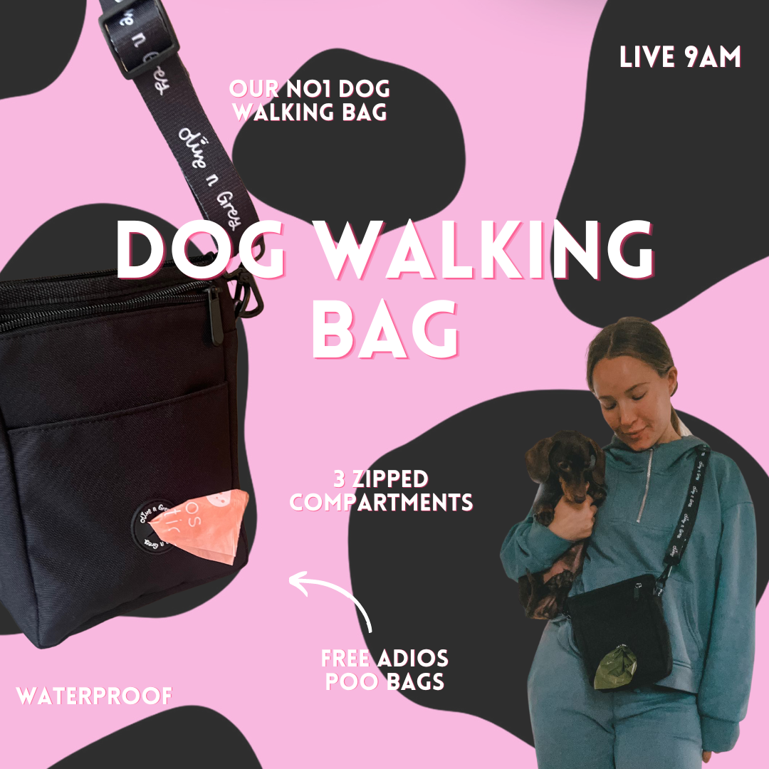 Olive n Grey Dog Walking Bag - Black