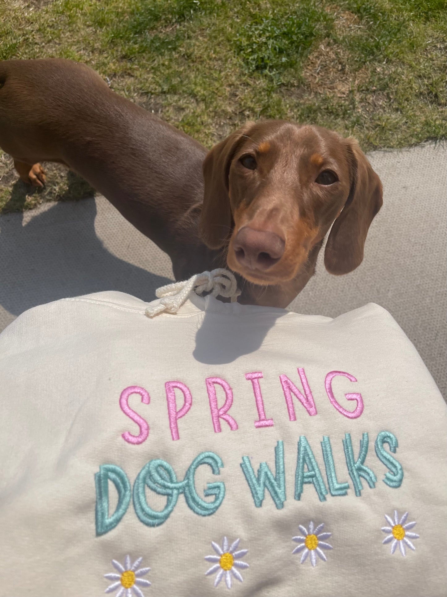 Embroidered Spring Dog Walks Hoodie