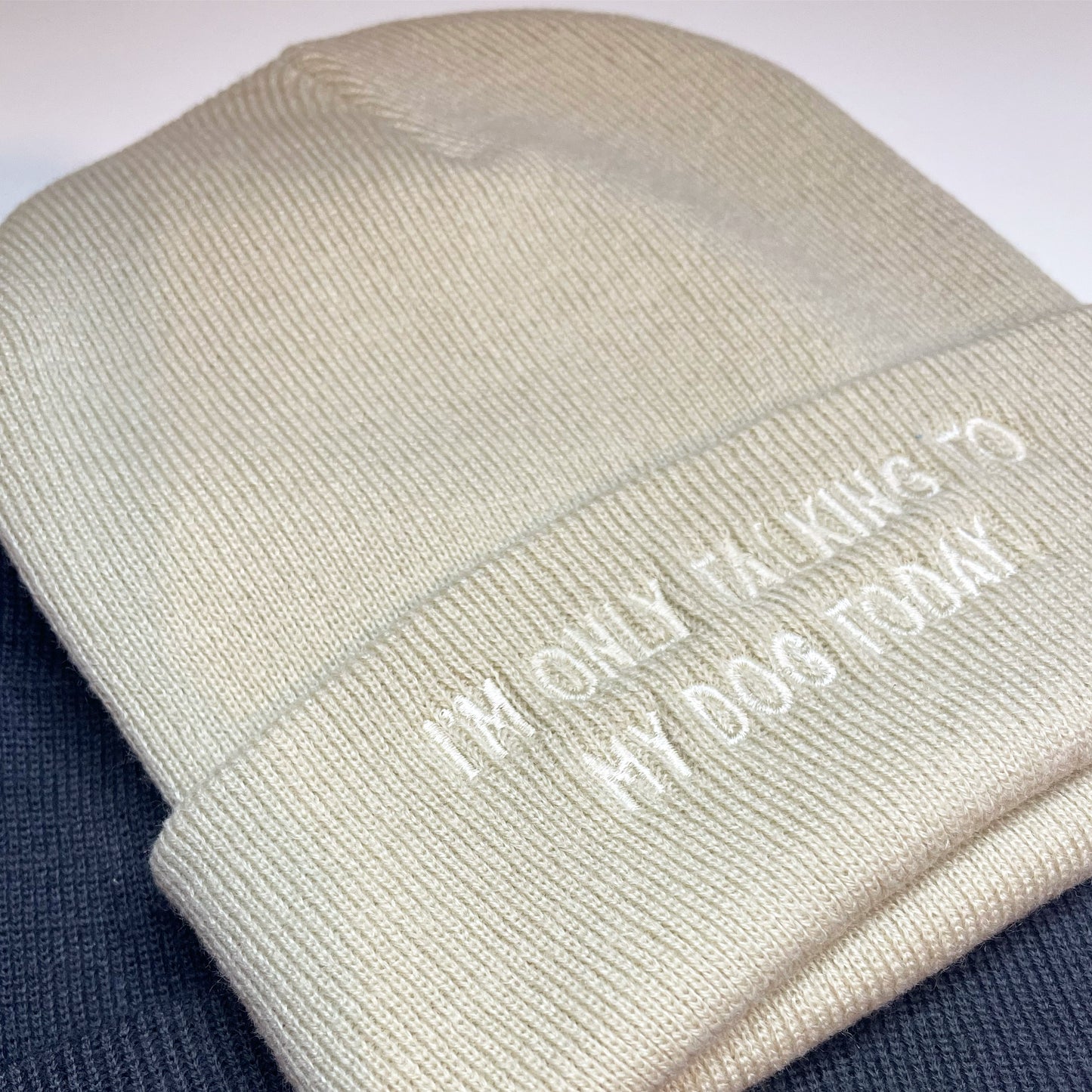 Embroidered I'm Only Talking To My Dog Today Beanie