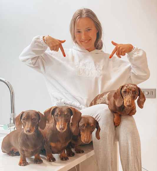 Embroidered Lover of Dogs Cropped Oversized Hoodie